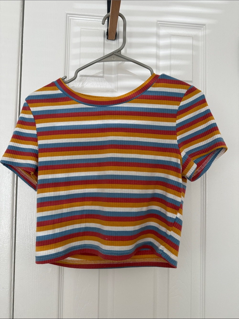 Striped Multicolor Ribbed Crop Top - Women